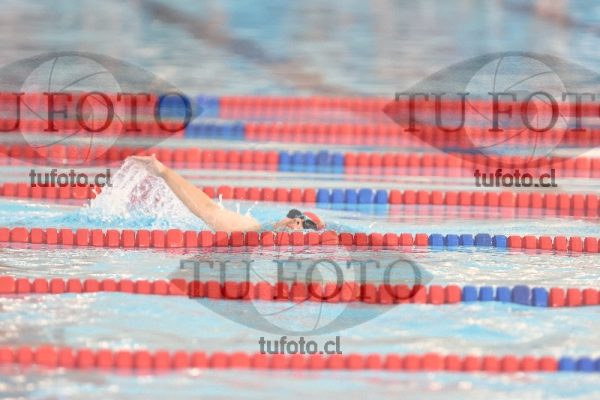 Image 1 libre V 00064