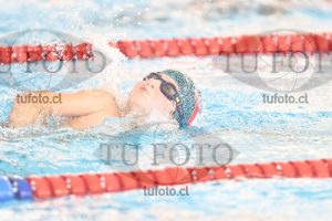 Image 1 libre V 00086