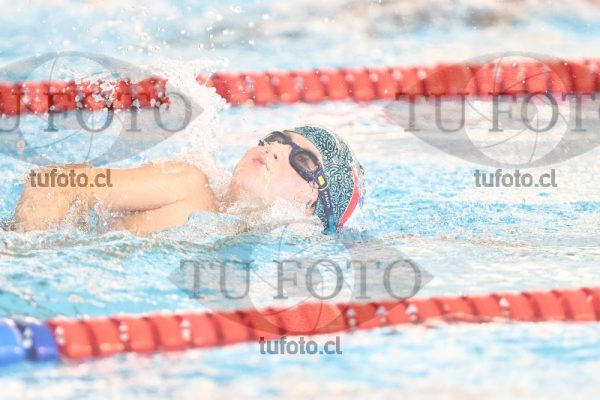 Image 1 libre V 00086