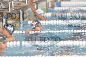 Image 1 libre V 00114