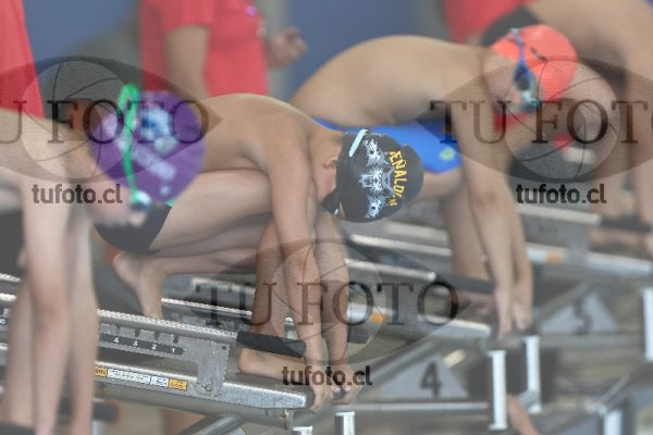 Image 1 libre V 00126