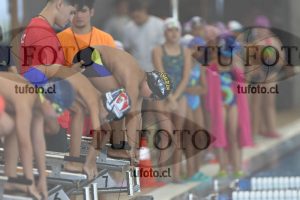 Image 1 libre V 00130