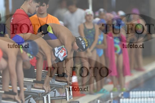 Image 1 libre V 00130