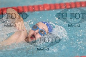 Image 1 libre V 00131