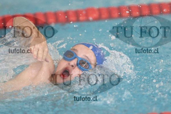 Image 1 libre V 00131