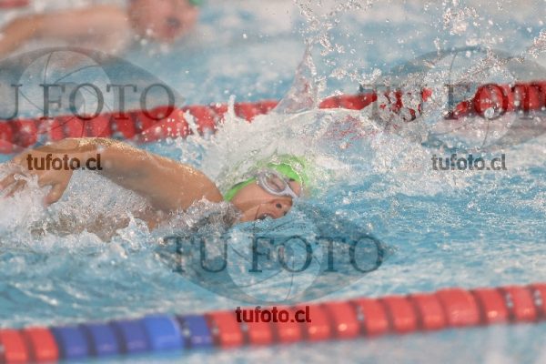 Image 1 libre V 00132