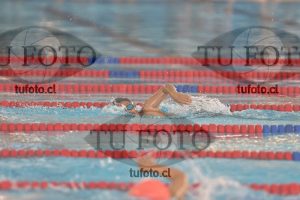 Image 1 libre V 00136