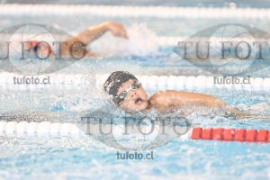 Image 1 libre V 00138
