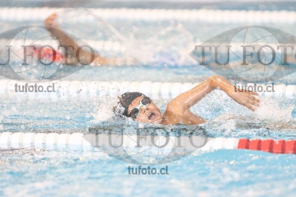Image 1 libre V 00139