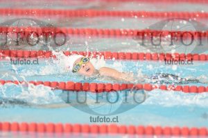 Image 1 libre V 00158