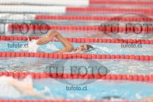 Image 1 libre V 00159