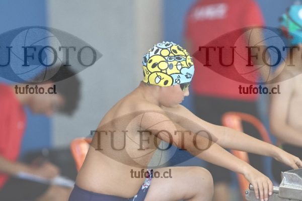 Image 1 libre V 00170