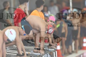 Image 1 libre V 00178