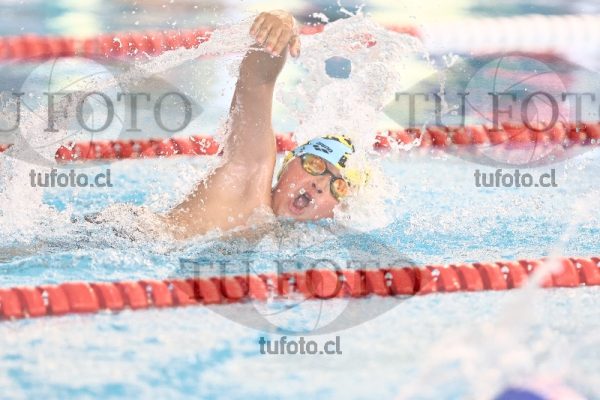 Image 1 libre V 00182