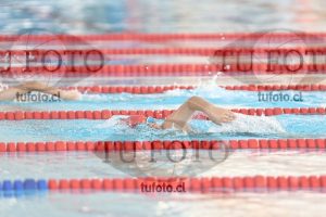 Image 1 libre V 00184