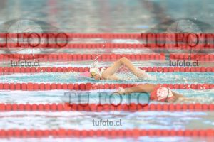 Image 1 libre V 00186