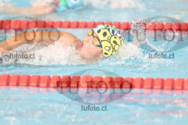 Image 1 libre V 00188