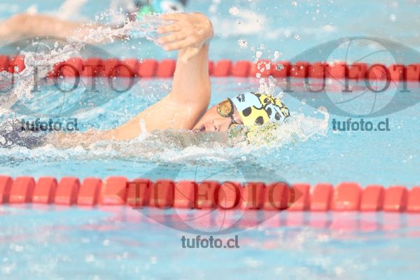 Image 1 libre V 00189
