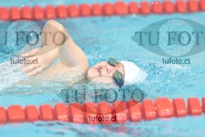 Image 1 libre V 00193