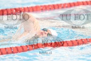 Image 1 libre V 00194