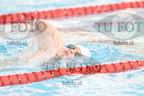 Image 1 libre V 00194