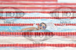 Image 1 libre V 00195