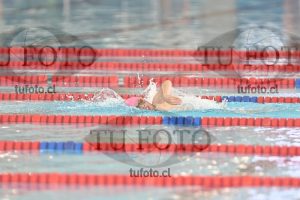 Image 1 libre V 00196