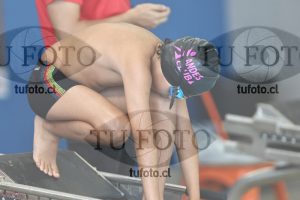 Image 1 libre V 00205