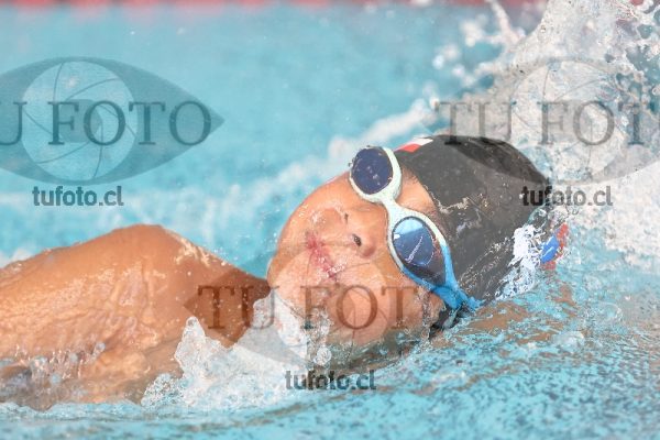 Image 1 libre V 00208