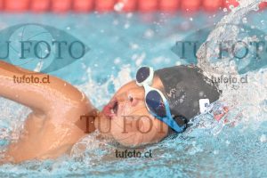 Image 1 libre V 00209