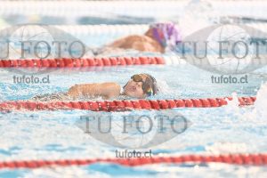 Image 1 libre V 00213