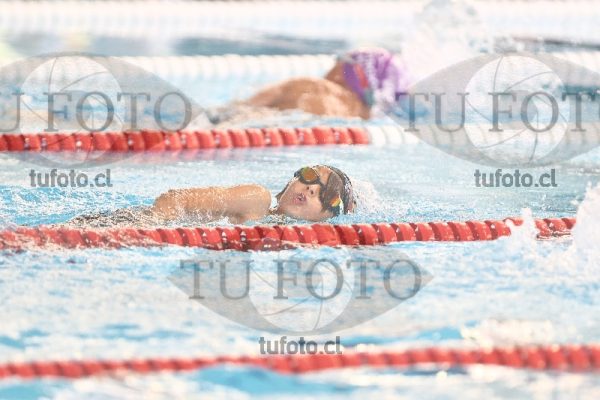 Image 1 libre V 00213