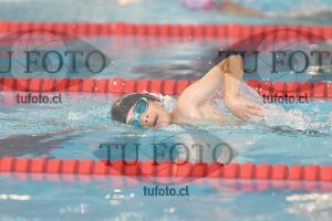 Image 1 libre V 00217