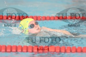Image 1 libre V 00218