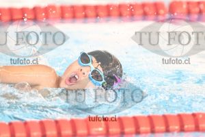 Image 1 libre V 00221