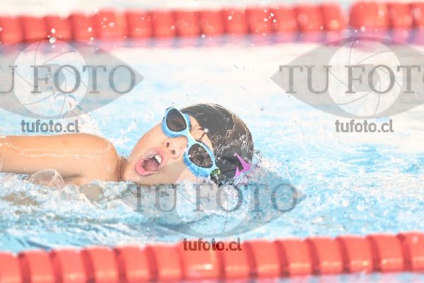Image 1 libre V 00221