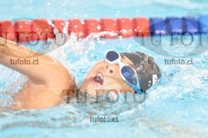 Image 1 libre V 00222