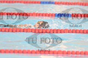 Image 1 libre V 00223