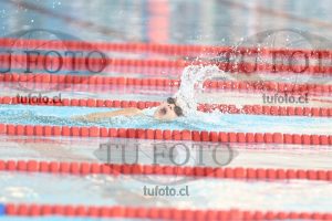 Image 1 libre V 00225