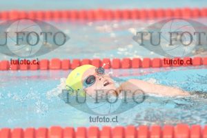 Image 1 libre V 00229
