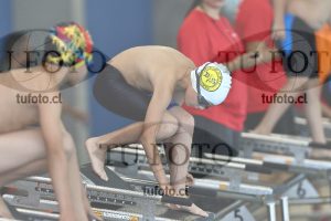 Image 1 libre V 00237