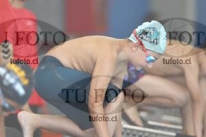 Image 1 libre V 00239