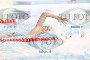 Image 1 libre V 00245