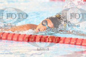 Image 1 libre V 00249