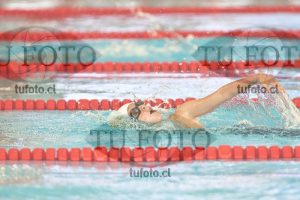 Image 1 libre V 00258