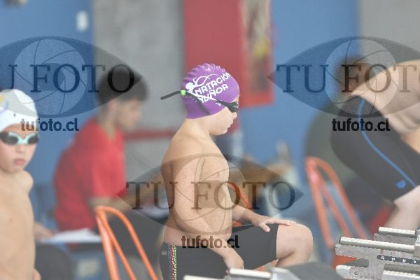 Image 1 libre V 00262