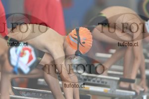 Image 1 libre V 00269