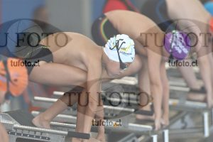Image 1 libre V 00270