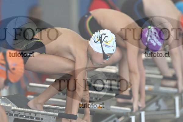 Image 1 libre V 00270