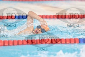 Image 1 libre V 00272